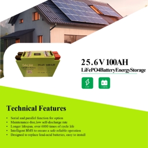 Baterie Litiu LifePO4 100Ah 24V